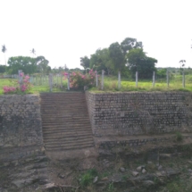 kalyani 2