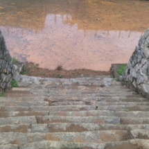 kalyani
